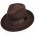 Шляпа Федора коричневого